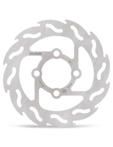 BRAKE DISC FLAME REAR