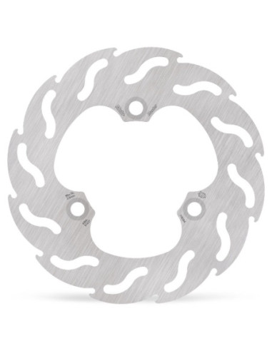 BRAKE DISC FLAME REAR