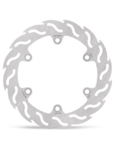 BRAKE DISC FLAME REAR