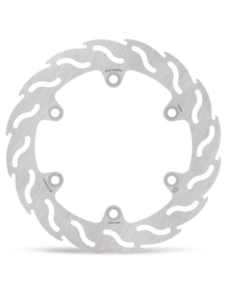 BRAKE DISC FLAME REAR