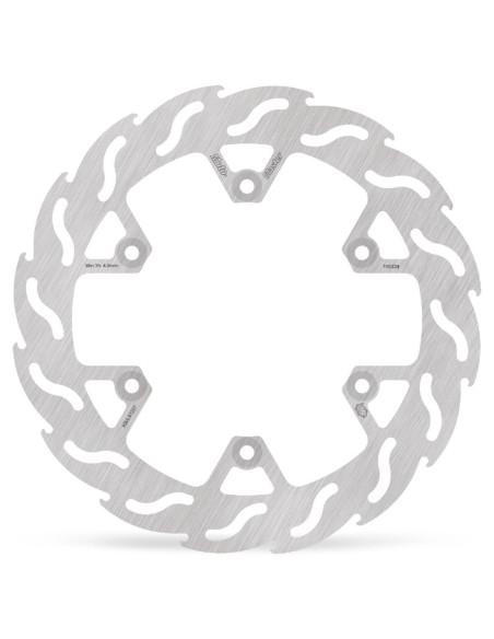 BRAKE DISC FLAME REAR