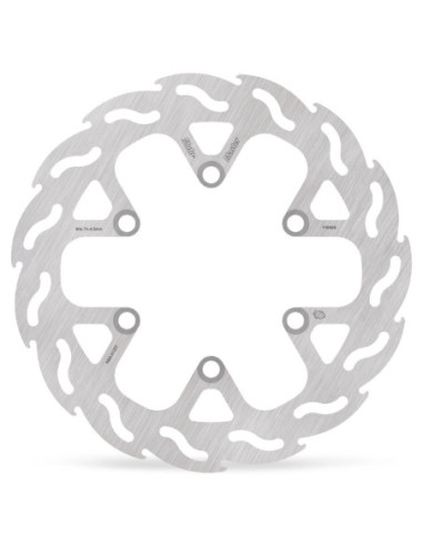 BRAKE DISC FLAME REAR
