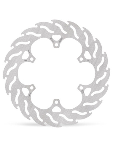 BRAKE DISC FLAME REAR