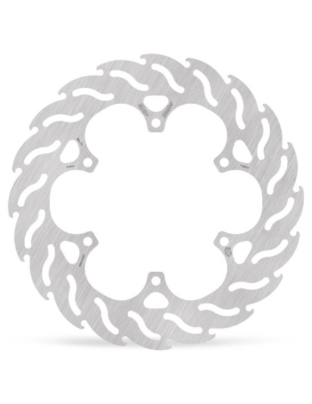 BRAKE DISC FLAME REAR