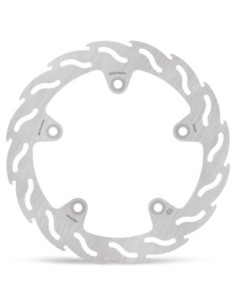 BRAKE DISC FLAME REAR