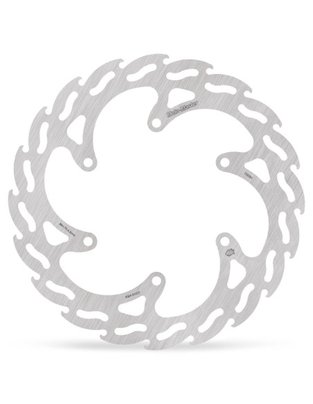 BRAKE DISC FLAME REAR