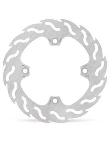 BRAKE DISC FLAME REAR