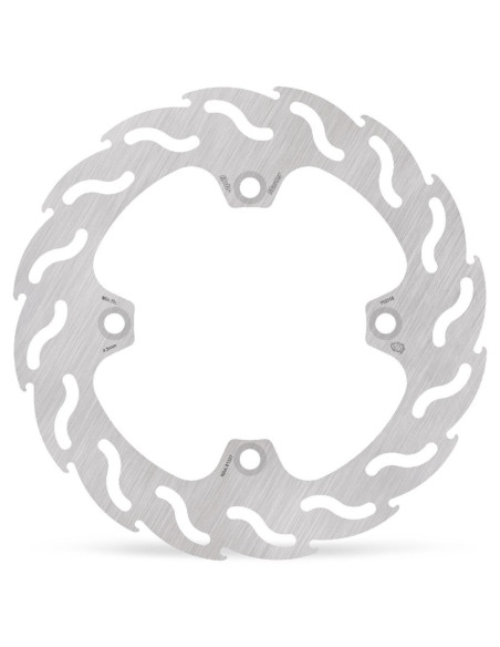 BRAKE DISC FLAME REAR