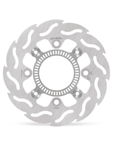 BRAKE DISC FLAME REAR