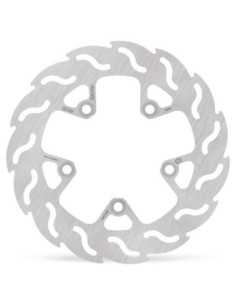 BRAKE DISC FLAME REAR