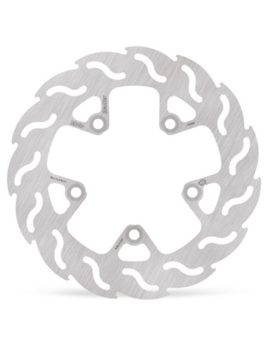 BRAKE DISC FLAME REAR