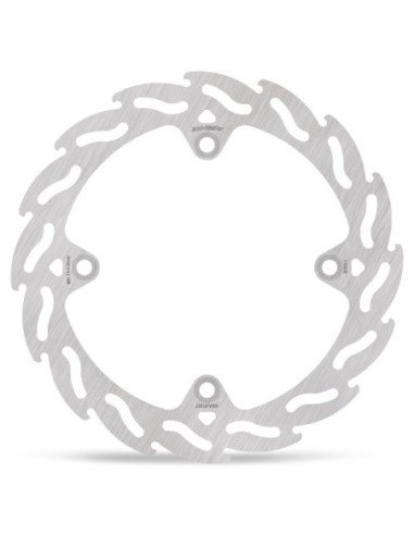 BRAKE DISC FLAME REAR