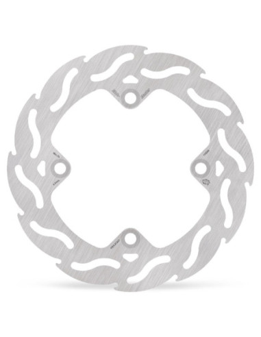 BRAKE DISC FLAME REAR