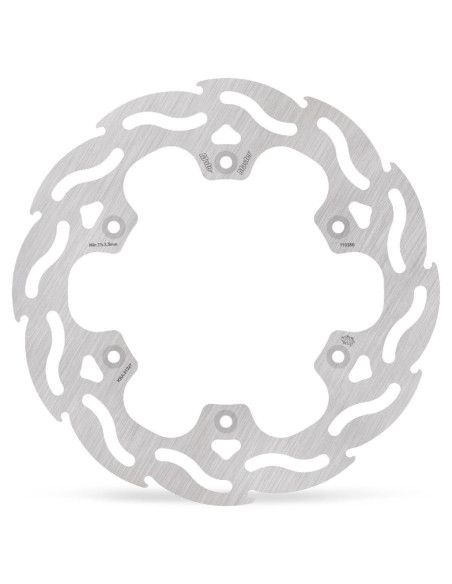 BRAKE DISC FLAME REAR