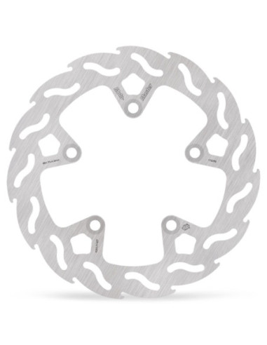 BRAKE DISC FLAME REAR