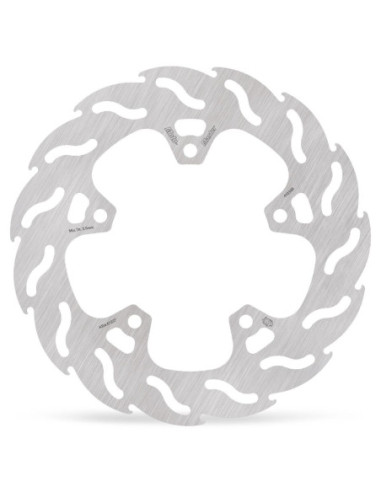 BRAKE DISC FLAME REAR