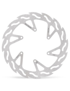 BRAKE DISC FLAME REAR