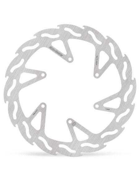 BRAKE DISC FLAME REAR