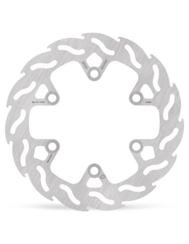 BRAKE DISC FLAME REAR
