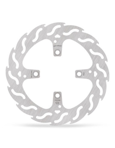 BRAKE DISC FLAME REAR