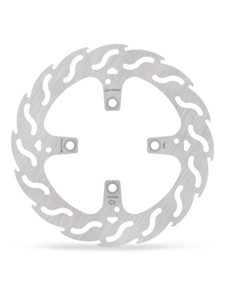 BRAKE DISC FLAME REAR
