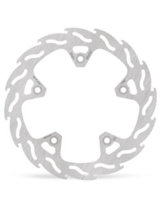 BRAKE DISC FLAME REAR