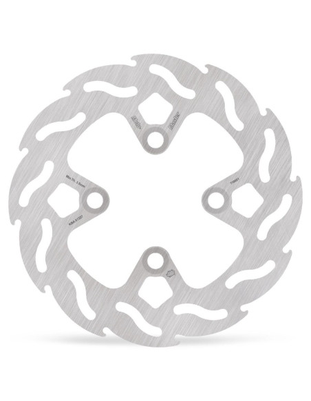 BRAKE DISC FLAME REAR