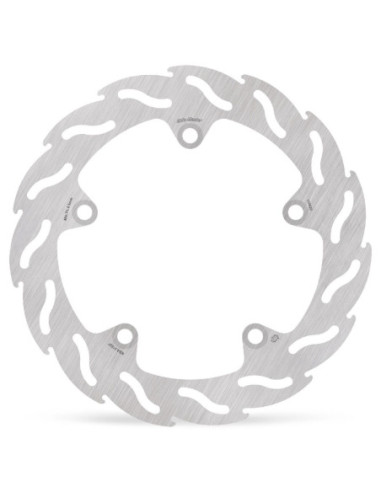 BRAKE DISC FLAME REAR