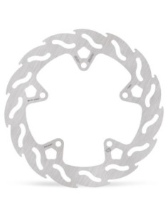BRAKE DISC FLAME REAR