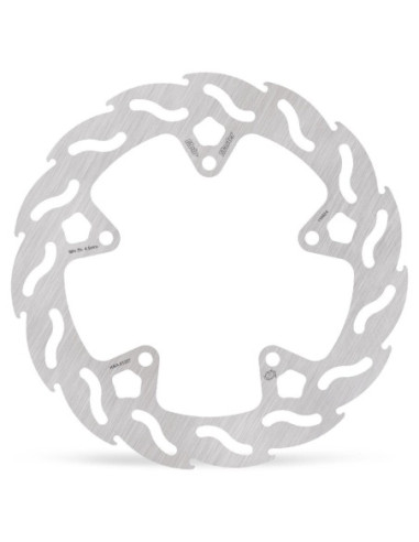BRAKE DISC FLAME REAR
