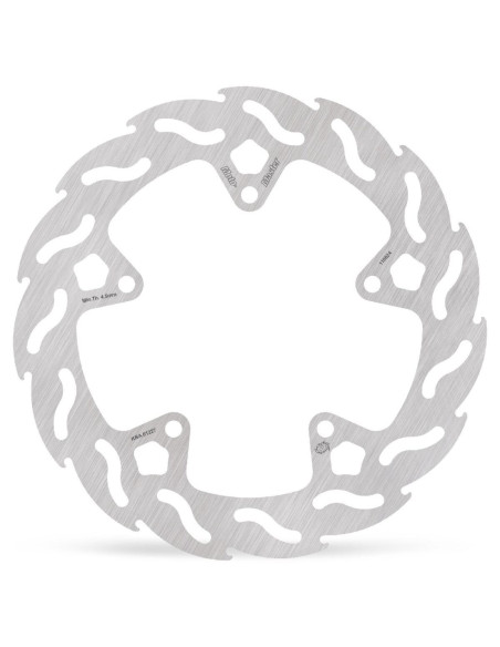 BRAKE DISC FLAME REAR