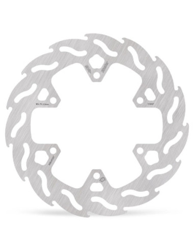 BRAKE DISC FLAME REAR