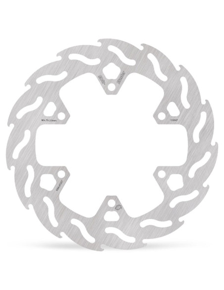 BRAKE DISC FLAME REAR