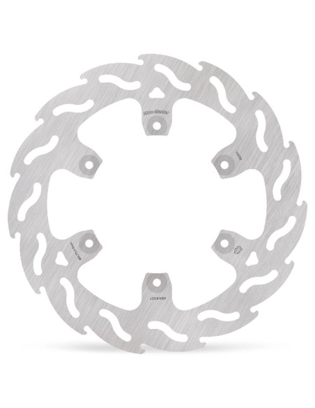 BRAKE DISC FLAME REAR