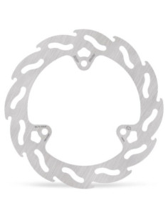 BRAKE DISC FLAME REAR