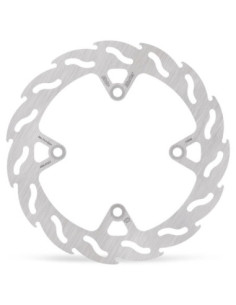 BRAKE DISC FLAME REAR