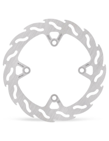 BRAKE DISC FLAME REAR