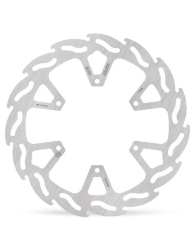 BRAKE DISC FLAME REAR