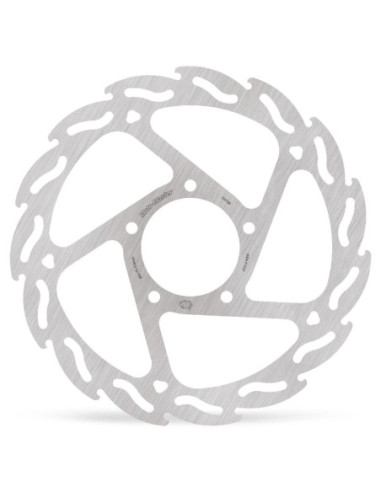BRAKE DISC FLAME REAR