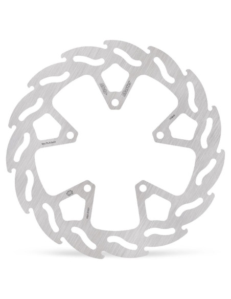 BRAKE DISC FLAME REAR