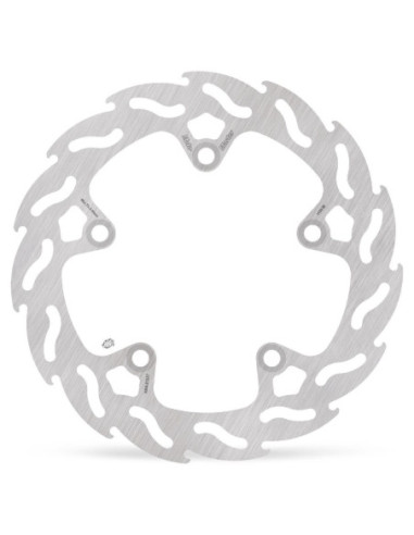 BRAKE DISC FLAME REAR