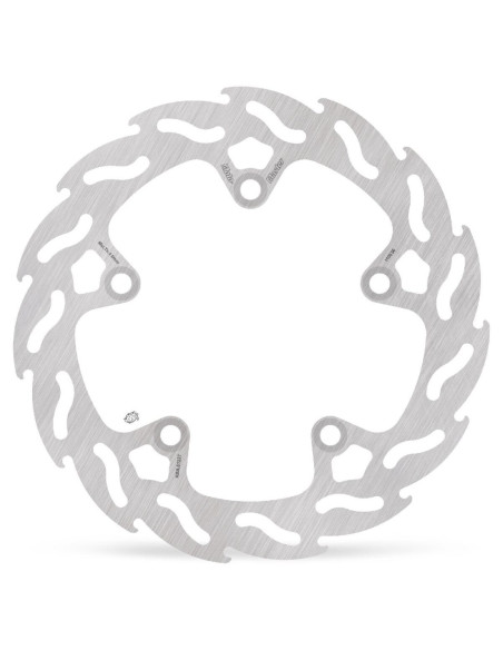 BRAKE DISC FLAME REAR