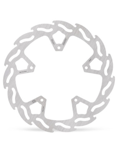 BRAKE DISC FLAME REAR