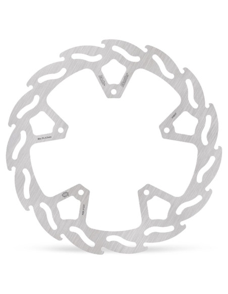 BRAKE DISC FLAME REAR