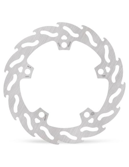 BRAKE DISC FLAME FRONT R