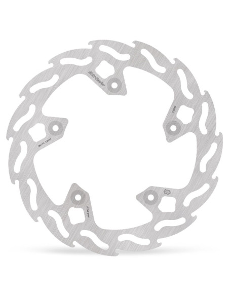 BRAKE DISC FLAME FRONT