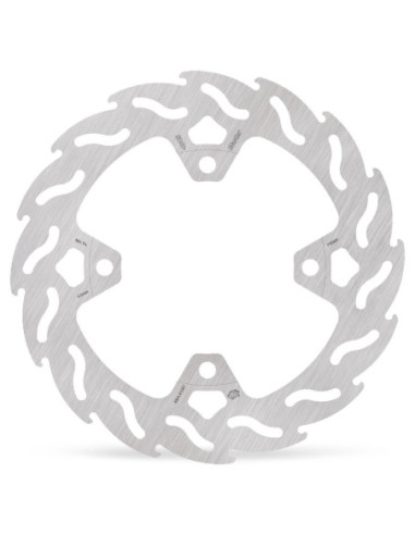 BRAKE DISC FLAME REAR