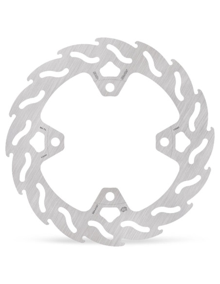 BRAKE DISC FLAME REAR