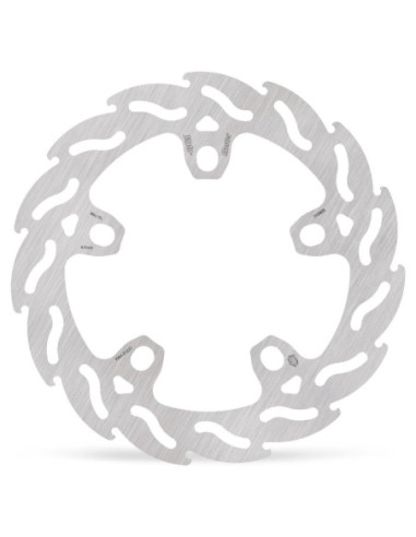 BRAKE DISC FLAME REAR