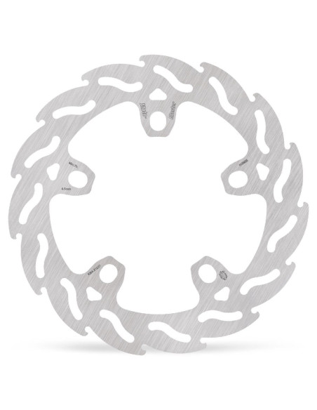 BRAKE DISC FLAME REAR